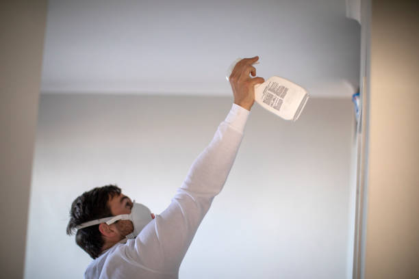Office Mold Removal Services in Kirkwood, MO