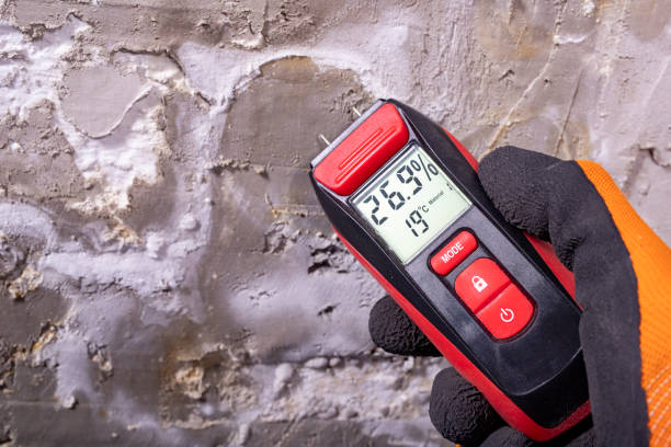 Best Residential Mold Removal  in Kirkwood, MO