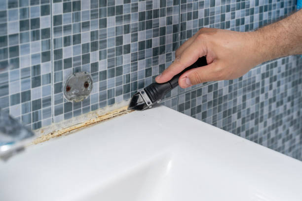 Best Mold Removal Company Near Me  in Kirkwood, MO